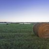 2018 Saskatchewan Hay and Grazing Tenders