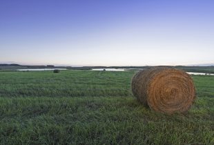 2018 Saskatchewan Hay and Grazing Tenders