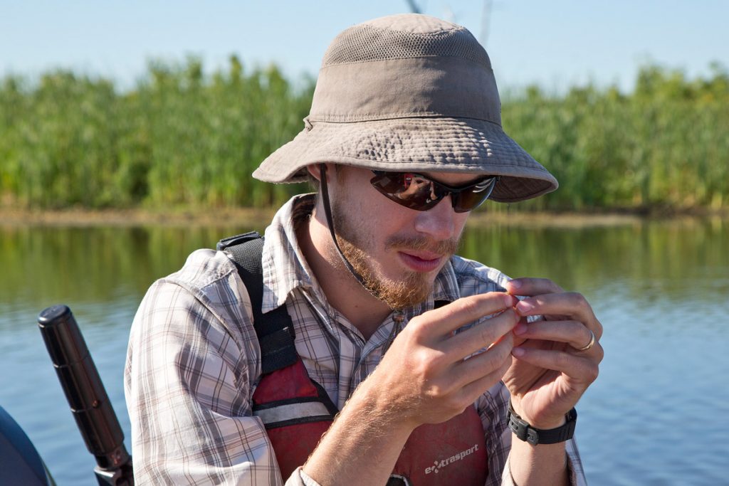Research at Delta Marsh