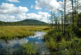 New detailed wetland mapping tools now available in Quebec