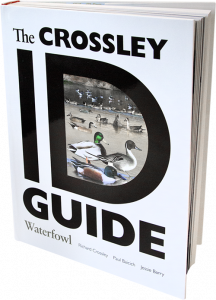 The Crossley ID Guide: Waterfowl is available now through DUC