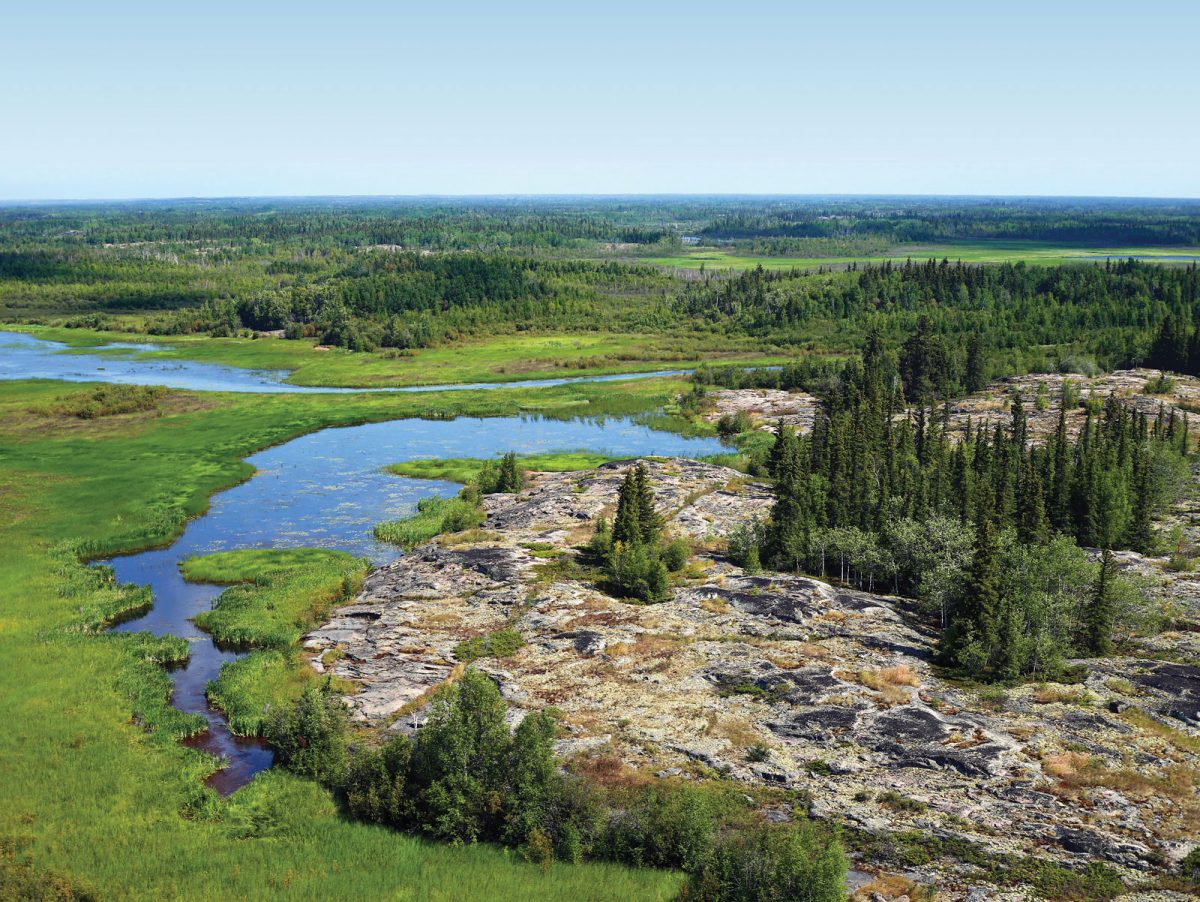 conservation in the boreal forest