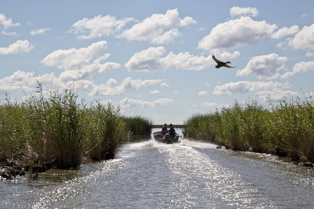 researchers boating in delta marsh 