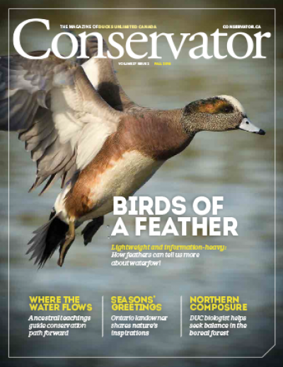 Conservator Magazine