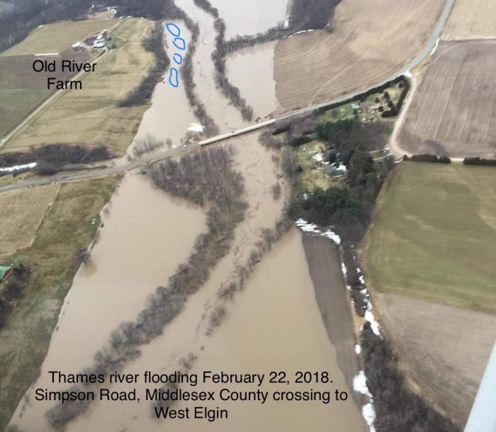 Ariel view of the 2018 winter flood along the Thames River with the location of the four new ponds marked in blue. 